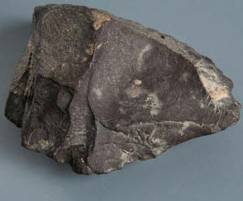 Stone tool called a 'scraper' found at Teshik Tash Cave, Uzbekistan