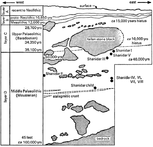 Cross section of the first trench. The large stone is from one of at least nine major rock-falls during the Middle Paleolithic age, covering a span of an estimated 40 000 years, from 80 000 to 40 000 years ago.