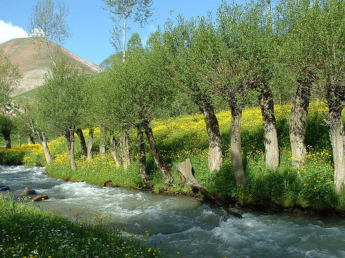Downstream Liqvan Valley (south of Tabriz, Iran)