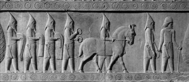 Saka tigrakhauda - Stone reliefs at Persepolis