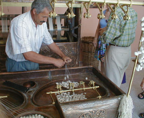 spinning silk thread straight of several cocoons