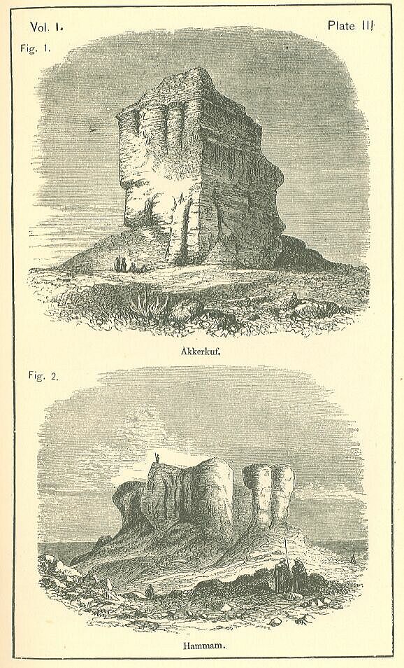 Plate 3
