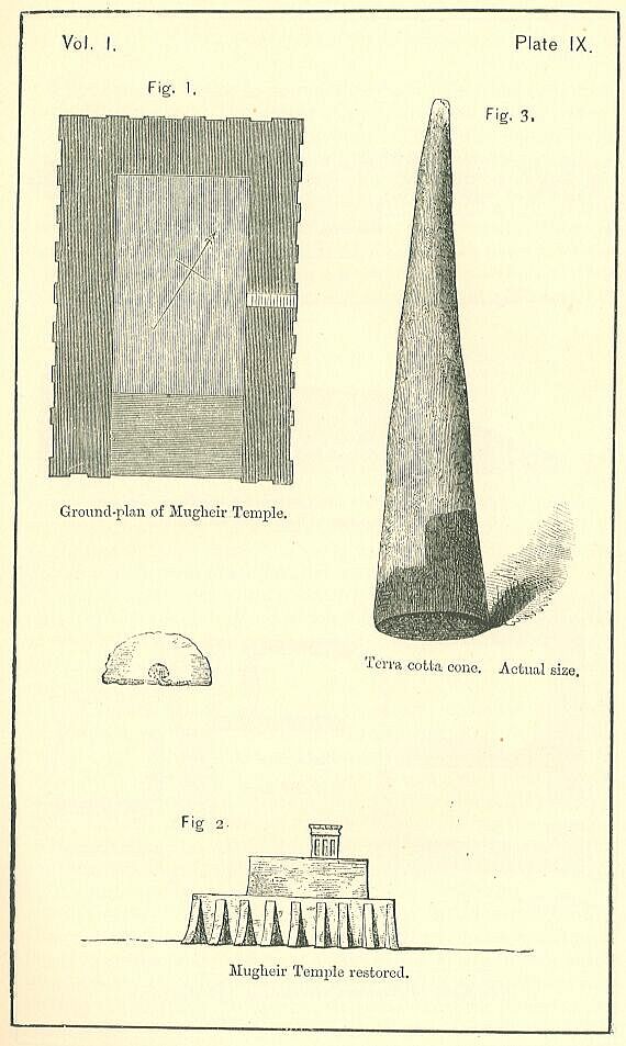 Plate 9
