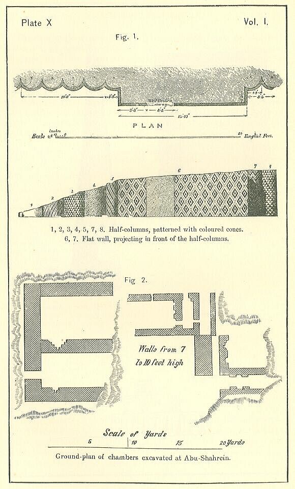 Plate 10

