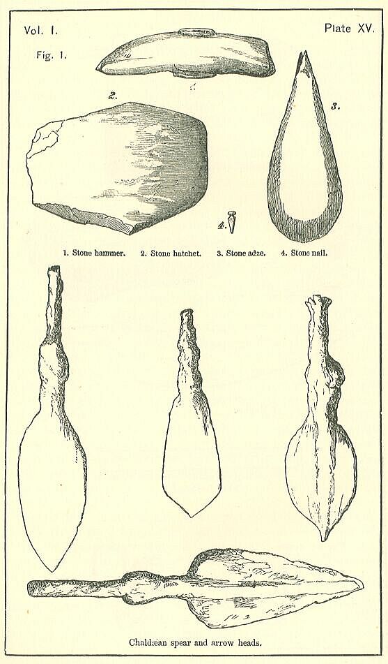 Plate 15
