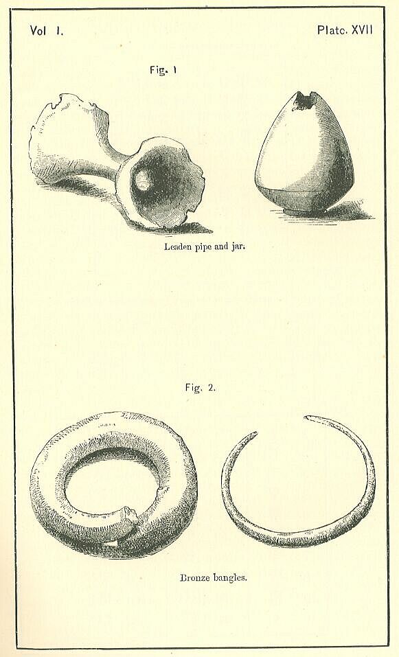 Plate 17
