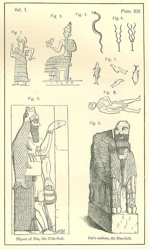 Plate 19
