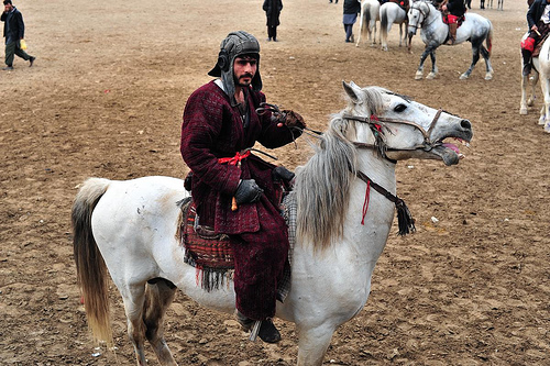 Buzkashi rider in a Mazar-e Sharif tournament