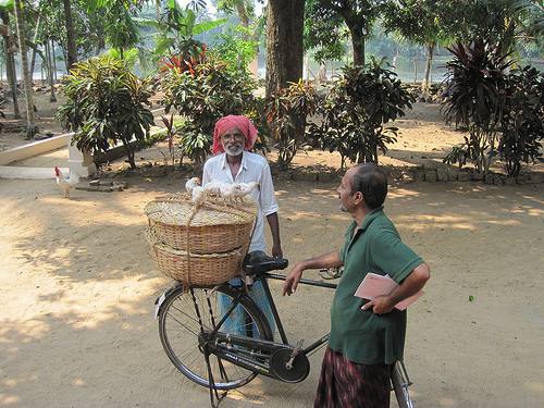 A modern pheria/feriya vendor selling live chicken and his bicycle in India.