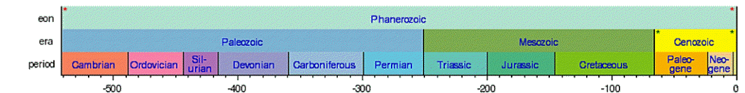 The latest or Phanerozoic Eon (570 million years before present to the present)