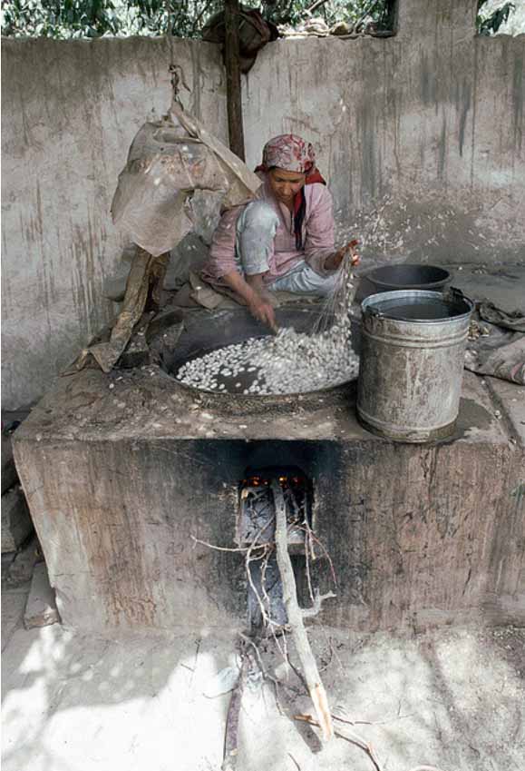 Silk thread extraction in Khotan